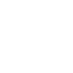 Royal Foxes