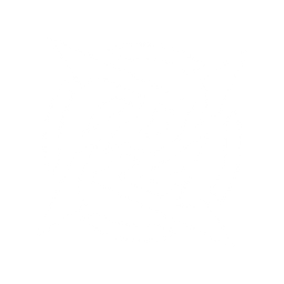Ninjas in Pyjamas
