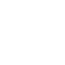 Team Spirit
